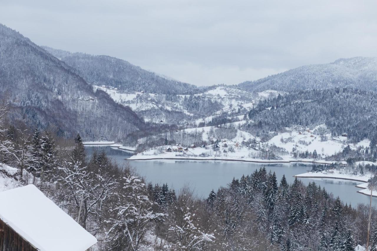 Konak Mandica Avlija Zaovine Exterior foto